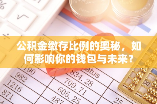 河池公积金缴存比例的奥秘，如何影响你的钱包与未来？