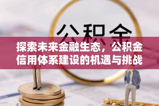 河池探索未来金融生态，公积金信用体系建设的机遇与挑战