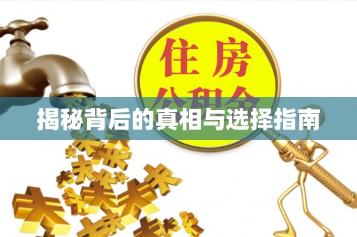 河池揭秘背后的真相与选择指南