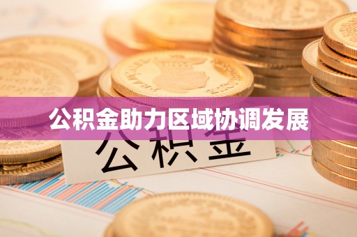 河池公积金助力区域协调发展