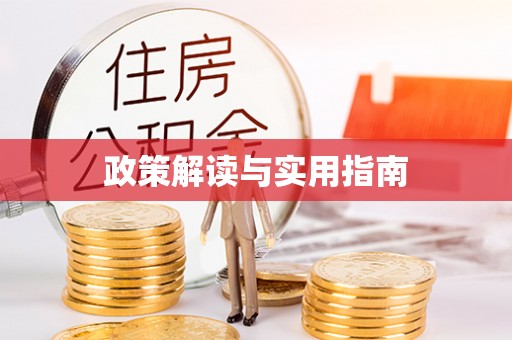 河池政策解读与实用指南