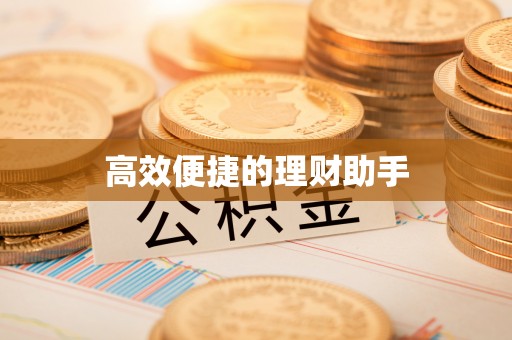 河池高效便捷的理财助手