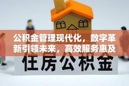 河池公积金管理现代化，数字革新引领未来，高效服务惠及民生