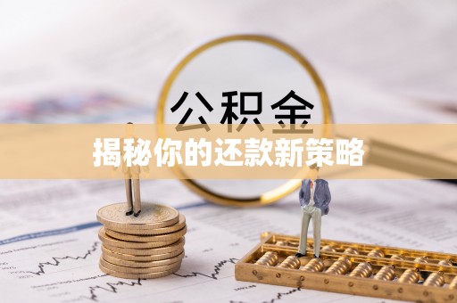 河池揭秘你的还款新策略