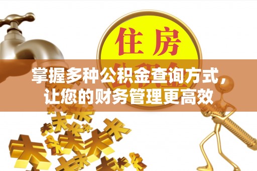 河池掌握多种公积金查询方式，让您的财务管理更高效