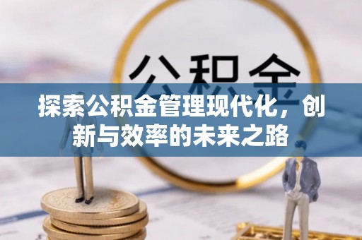 河池探索公积金管理现代化，创新与效率的未来之路