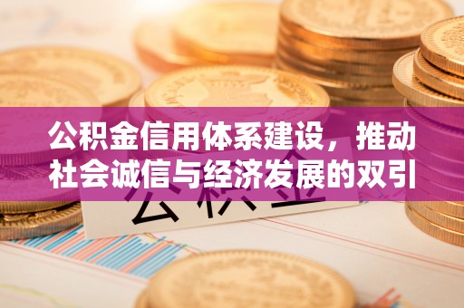 河池公积金信用体系建设，推动社会诚信与经济发展的双引擎