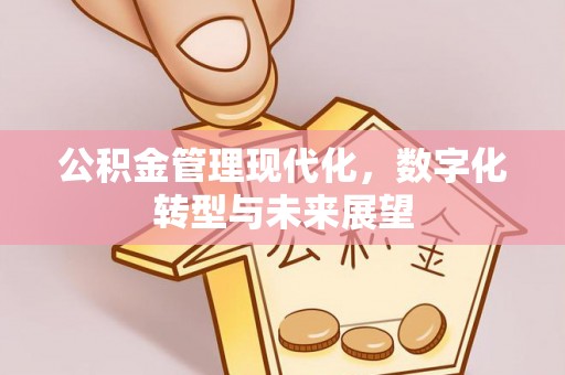 河池公积金管理现代化，数字化转型与未来展望