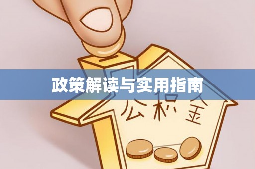 河池政策解读与实用指南