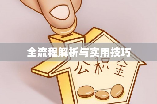河池全流程解析与实用技巧