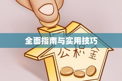 河池全面指南与实用技巧