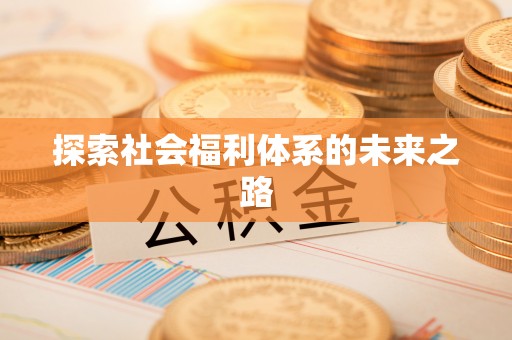 河池探索社会福利体系的未来之路