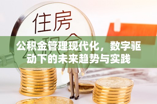 河池公积金管理现代化，数字驱动下的未来趋势与实践