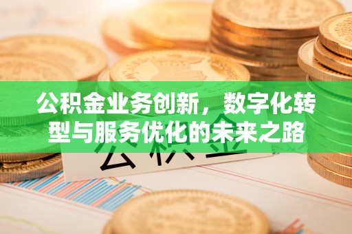河池公积金业务创新，数字化转型与服务优化的未来之路