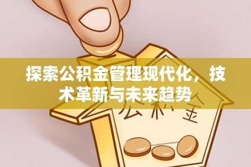 河池探索公积金管理现代化，技术革新与未来趋势