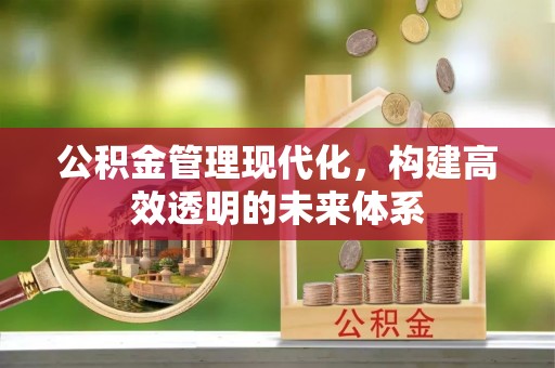 河池公积金管理现代化，构建高效透明的未来体系