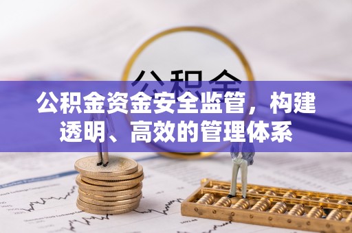河池公积金资金安全监管，构建透明、高效的管理体系