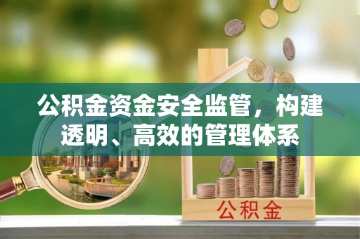 河池公积金资金安全监管，构建透明、高效的管理体系