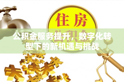 河池公积金服务提升，数字化转型下的新机遇与挑战