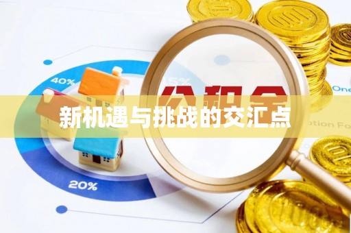河池新机遇与挑战的交汇点