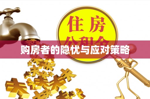 河池购房者的隐忧与应对策略