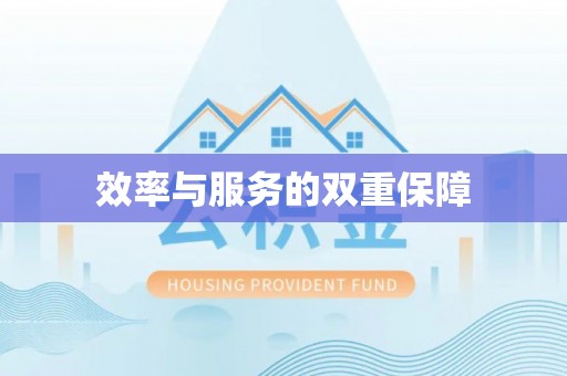 河池效率与服务的双重保障