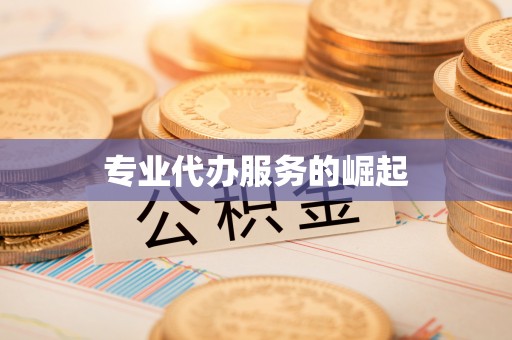 河池专业代办服务的崛起