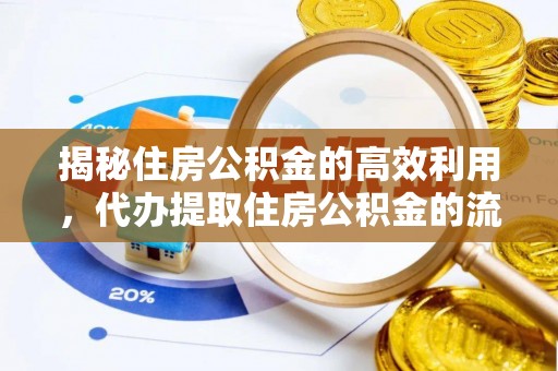 河池揭秘住房公积金的高效利用，代办提取住房公积金的流程与技巧
