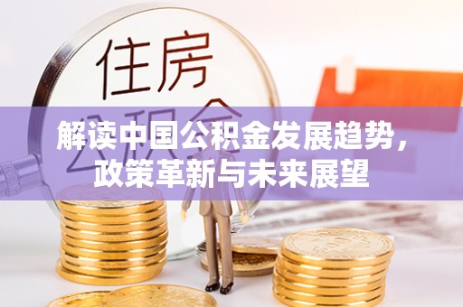 河池解读中国公积金发展趋势，政策革新与未来展望