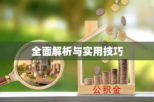 河池全面解析与实用技巧