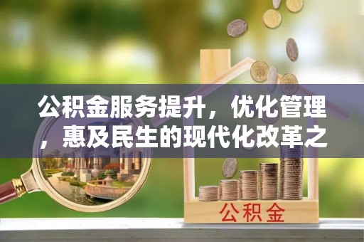 河池公积金服务提升，优化管理，惠及民生的现代化改革之路