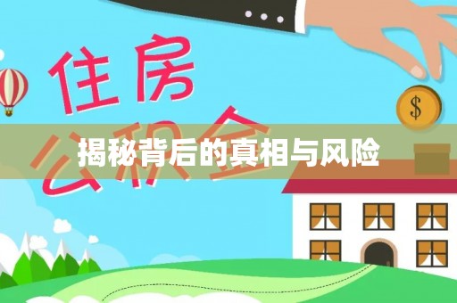 河池揭秘背后的真相与风险