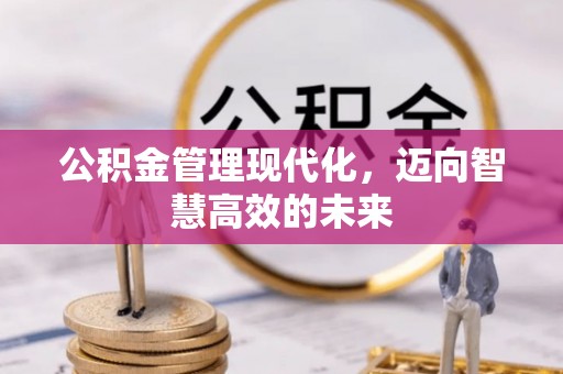 河池公积金管理现代化，迈向智慧高效的未来