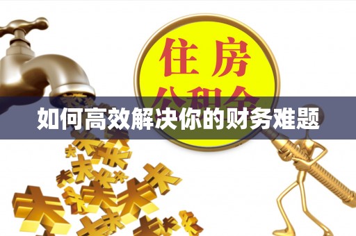 河池如何高效解决你的财务难题