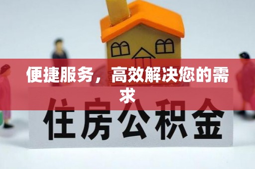 河池便捷服务，高效解决您的需求
