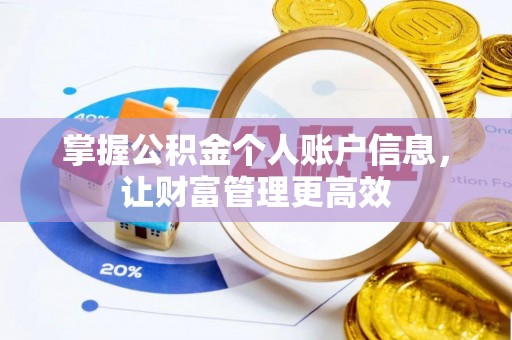 河池掌握公积金个人账户信息，让财富管理更高效
