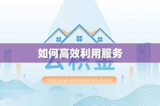 河池如何高效利用服务