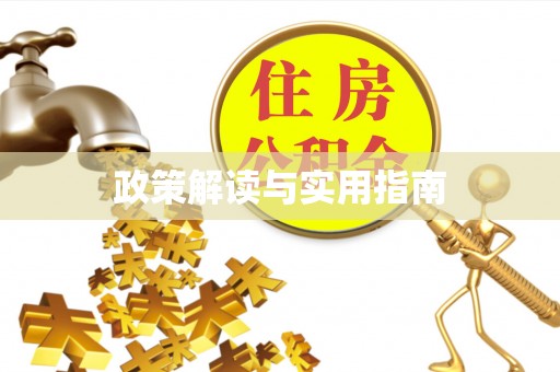 河池政策解读与实用指南