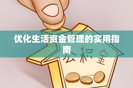 河池优化生活资金管理的实用指南