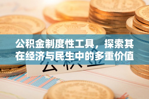 河池公积金制度性工具，探索其在经济与民生中的多重价值