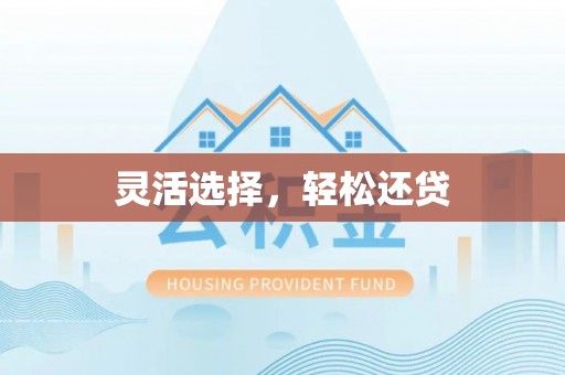 河池灵活选择，轻松还贷
