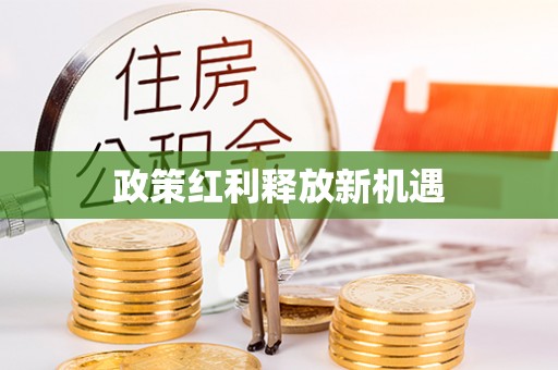 河池政策红利释放新机遇