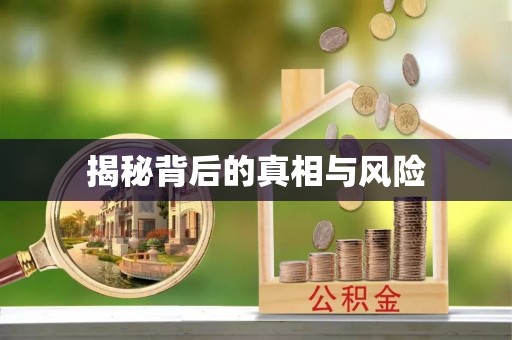 河池揭秘背后的真相与风险