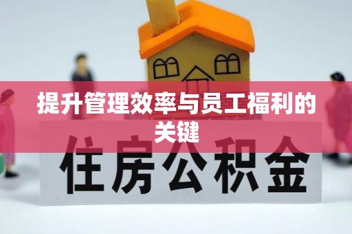 河池提升管理效率与员工福利的关键