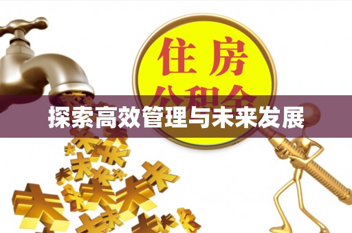 河池探索高效管理与未来发展