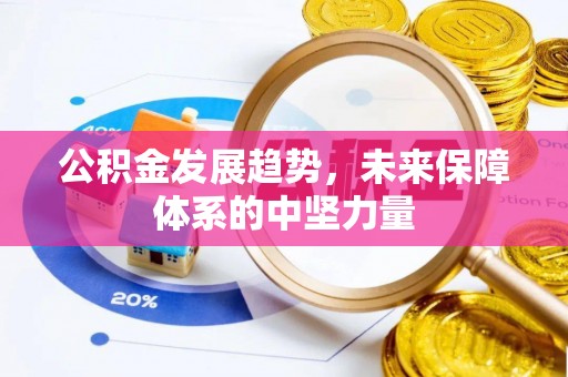 河池公积金发展趋势，未来保障体系的中坚力量