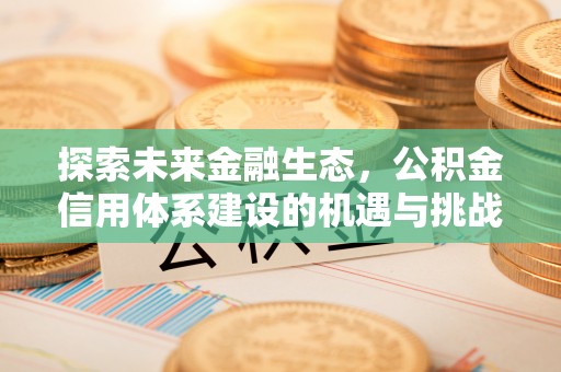 河池探索未来金融生态，公积金信用体系建设的机遇与挑战