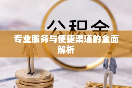 河池专业服务与便捷渠道的全面解析