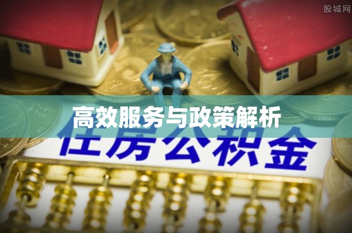 河池高效服务与政策解析