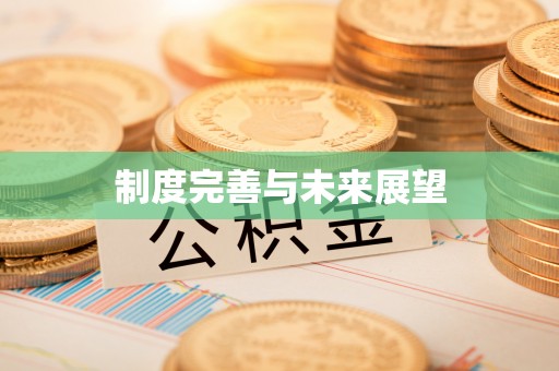 河池制度完善与未来展望